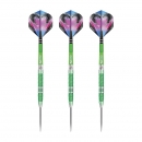 Steel Dartset (3 Stk) Peter Wright Mamba 2