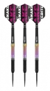Steel Darts (3 pcs) World Champion 2020 Peter Wright Snakebite
