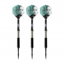 24 g Steel Darts (3 pcs) Max Hopp MAX95%