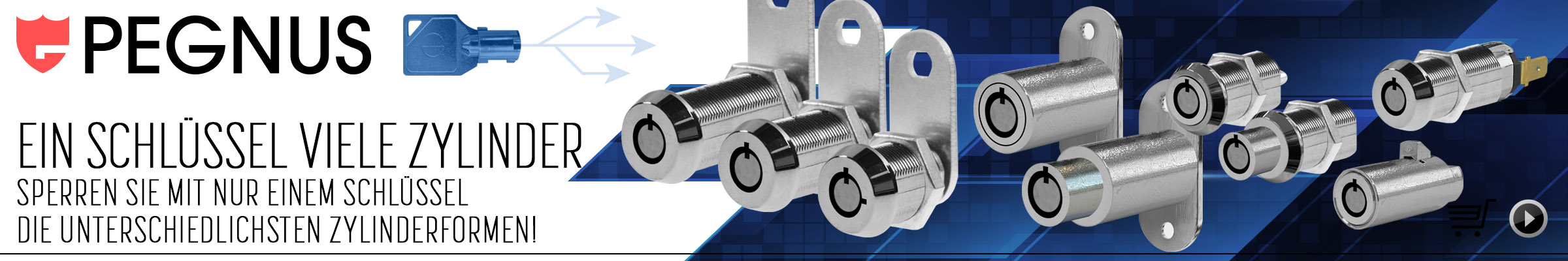 Pegnus Locks